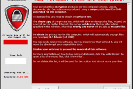 cryptolocker2
